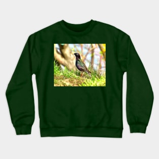 Beautiful starling Crewneck Sweatshirt